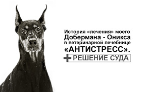 История «лечения» моего Добермана - Оникса
в ветеринарной лечебнице «Антистресс». + РЕШЕНИЕ СУДА