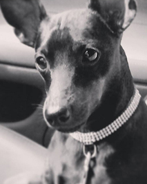 My Oscar)